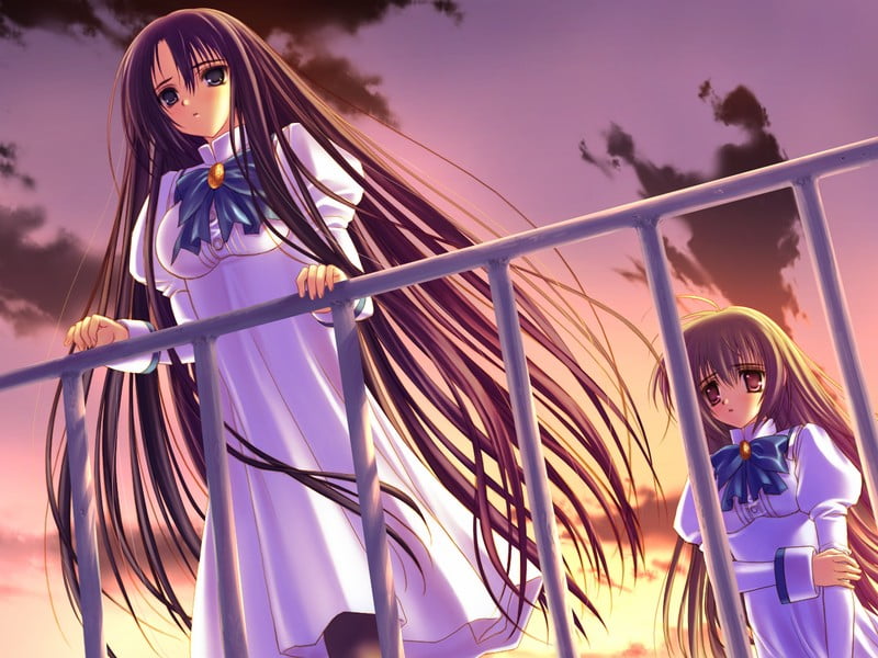 Otoboku: Maidens Are Falling For Me - Shion