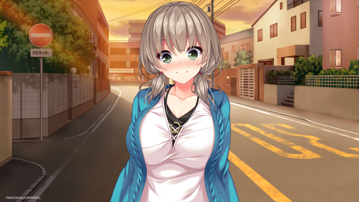 real anime situation dt (real hentai situation dt) - image for guide and walkthrough - Ayane Anekawa route