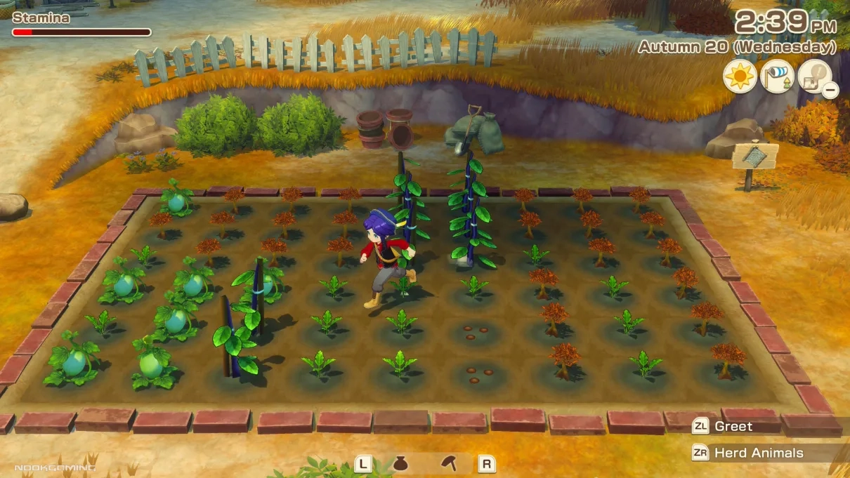 Managing crops in Story of Seasons: Grand Bazaar