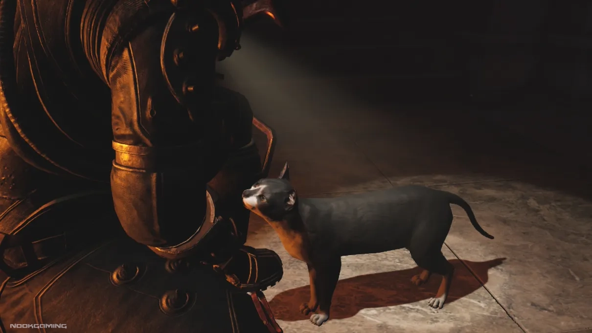 Iffy-looking cat in Cronos: The New Dawn
